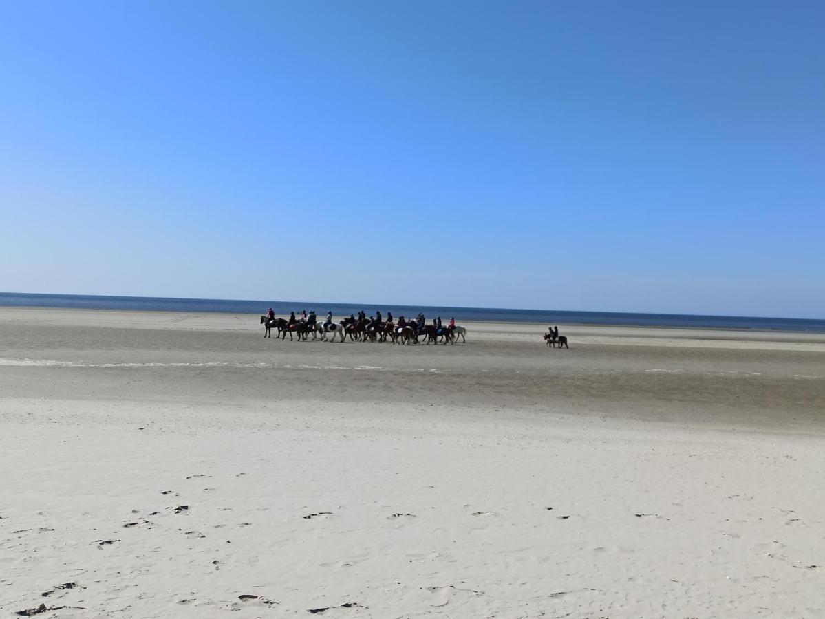 Berck Gite Les Chalets Du Fliers Verton Meubles De Tourisme Classes 2 Etoiles מראה חיצוני תמונה