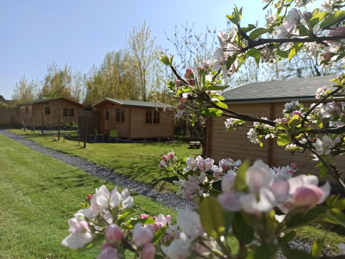Berck Gite Les Chalets Du Fliers Verton Meubles De Tourisme Classes 2 Etoiles מראה חיצוני תמונה