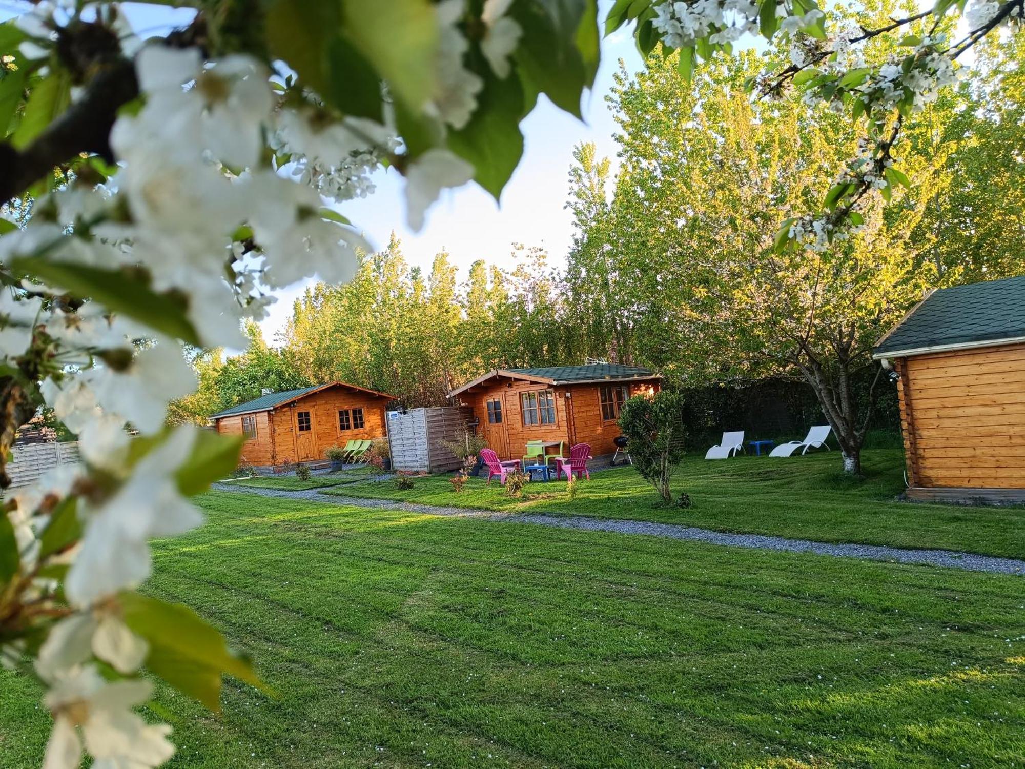 Berck Gite Les Chalets Du Fliers Verton Meubles De Tourisme Classes 2 Etoiles חדר תמונה